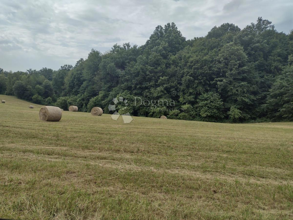 Poslovni prostor Blatuša, Gvozd, 21m2