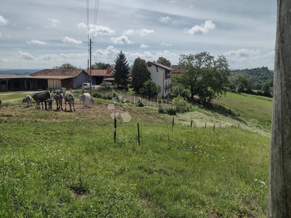 Poslovni prostor Blatuša, Gvozd, 21m2