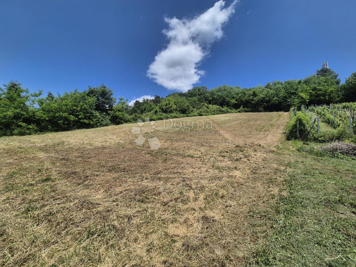 Zemljišče Prosenik Gubaševski, Zabok, 1.316m2