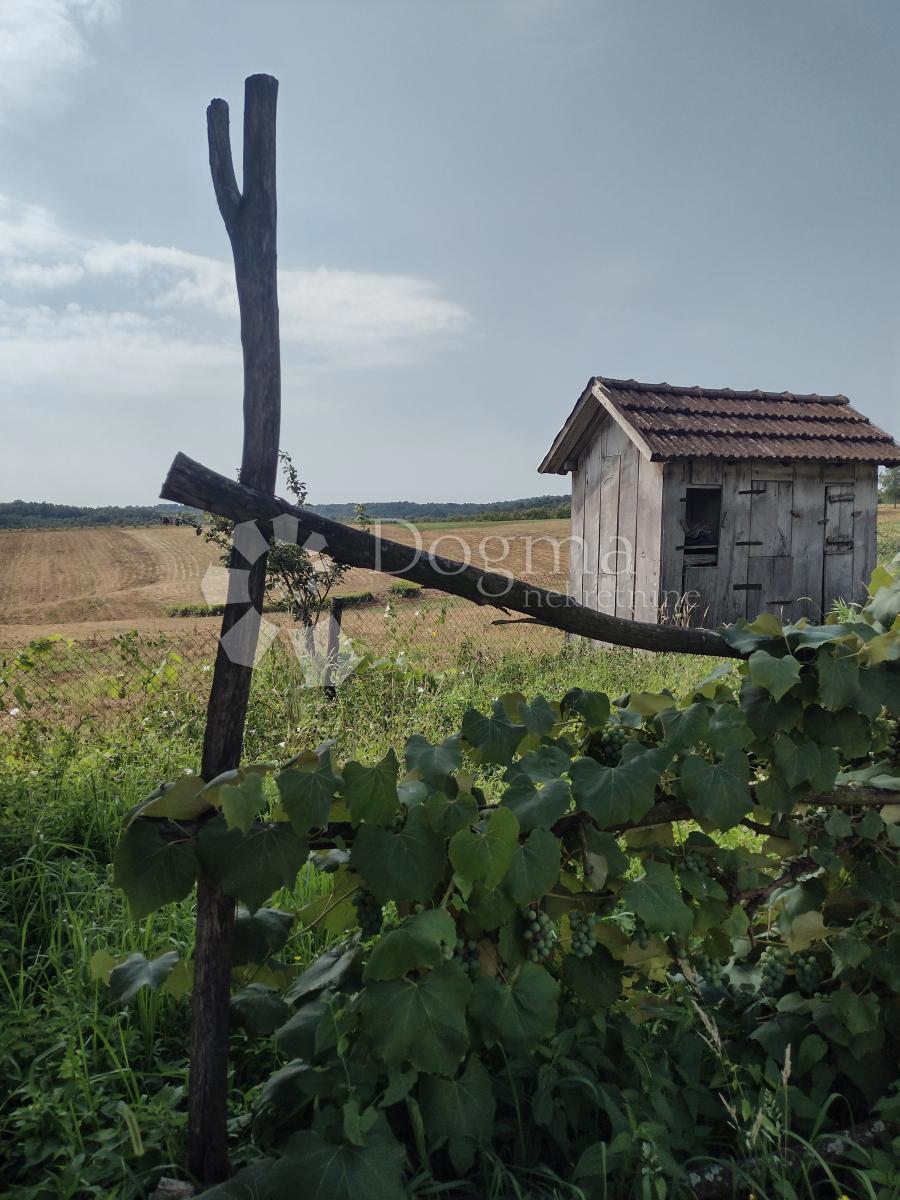 Hiša Podgorje, Gvozd, 120m2