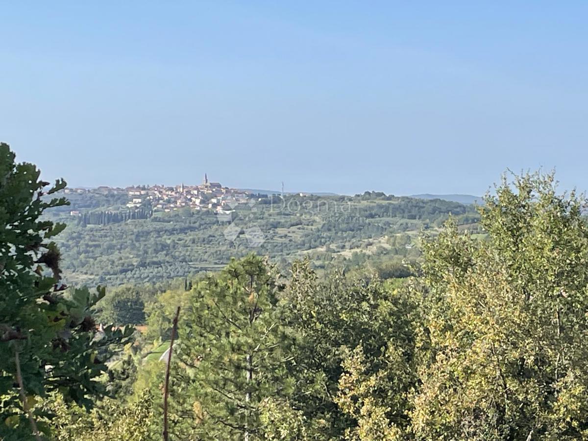 CVETOČA OKOLICA, ZEMLJIŠČE Z NAJLEPŠIM RAZGLEDOM