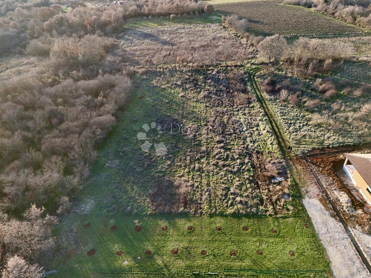 Kmetijsko zemljišče Šušnjići, Poreč, 7.297m2