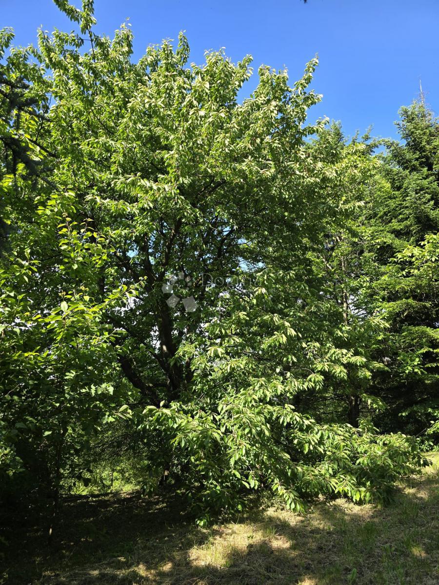 Zazidljivo zemljišče Varaždin Breg, Gornji Kneginec, 3.108,94m2