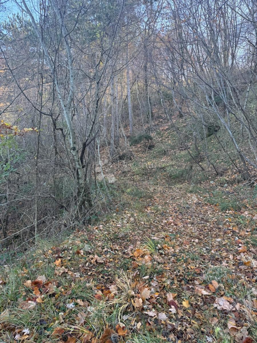 Kmetijsko zemljišče Draguć, Cerovlje, 20.000m2