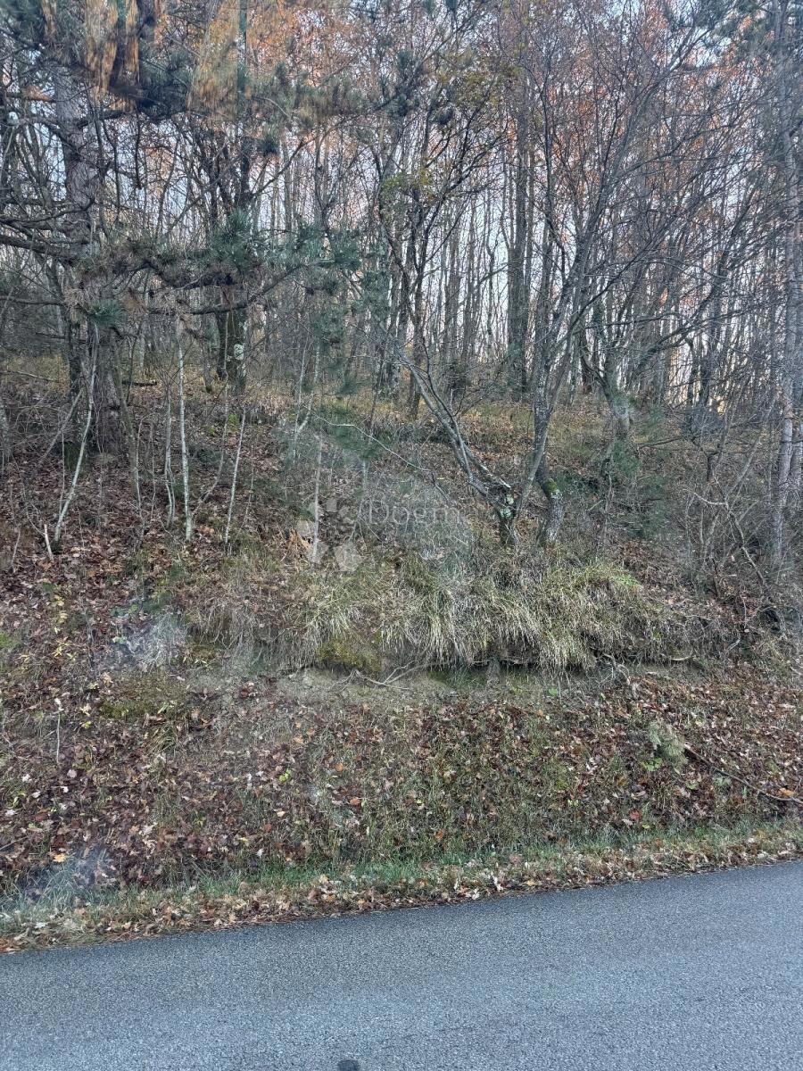 Kmetijsko zemljišče Draguć, Cerovlje, 20.000m2
