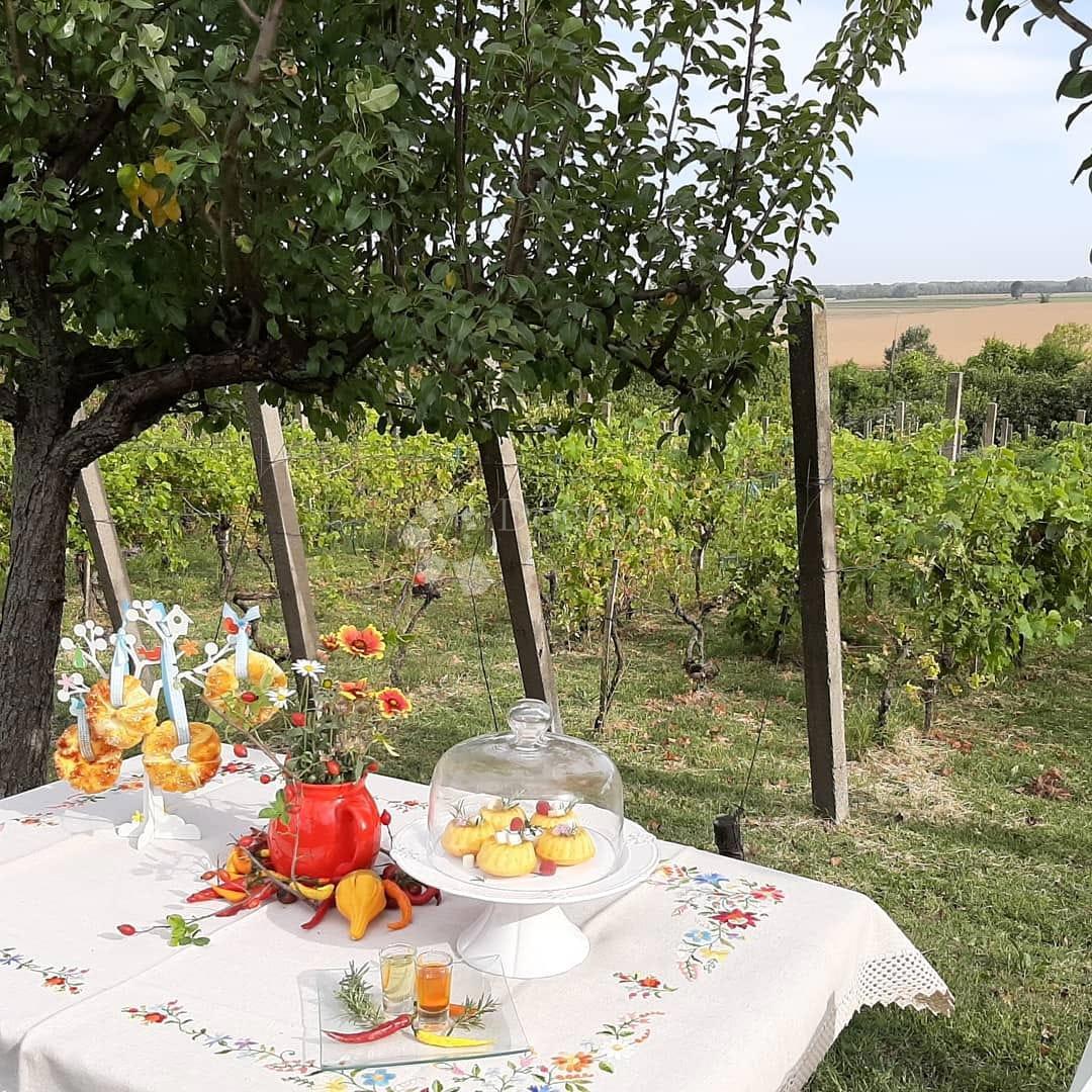 Hiša Suza, Kneževi Vinogradi, Suza, Kneževi Vinogradi, 79m2