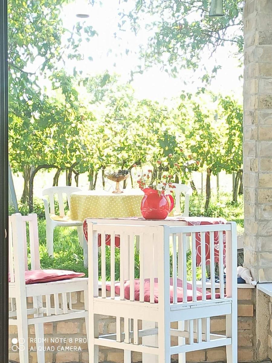 Hiša Suza, Kneževi Vinogradi, Suza, Kneževi Vinogradi, 79m2