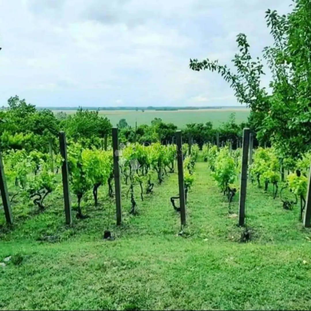Hiša Suza, Kneževi Vinogradi, Suza, Kneževi Vinogradi, 79m2