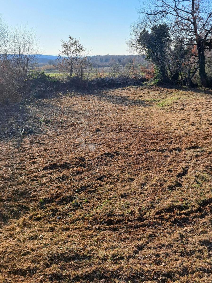 Zazidljivo zemljišče Fabci, Višnjan, 3.600m2