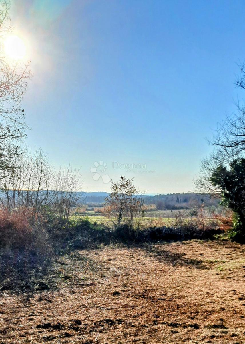 Zazidljivo zemljišče Fabci, Višnjan, 3.600m2