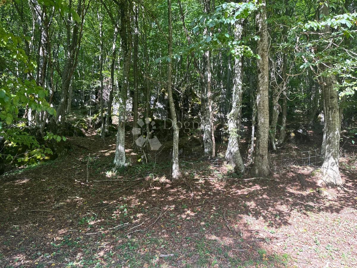 Hiša Brušane, Gospić - Okolica, 90m2