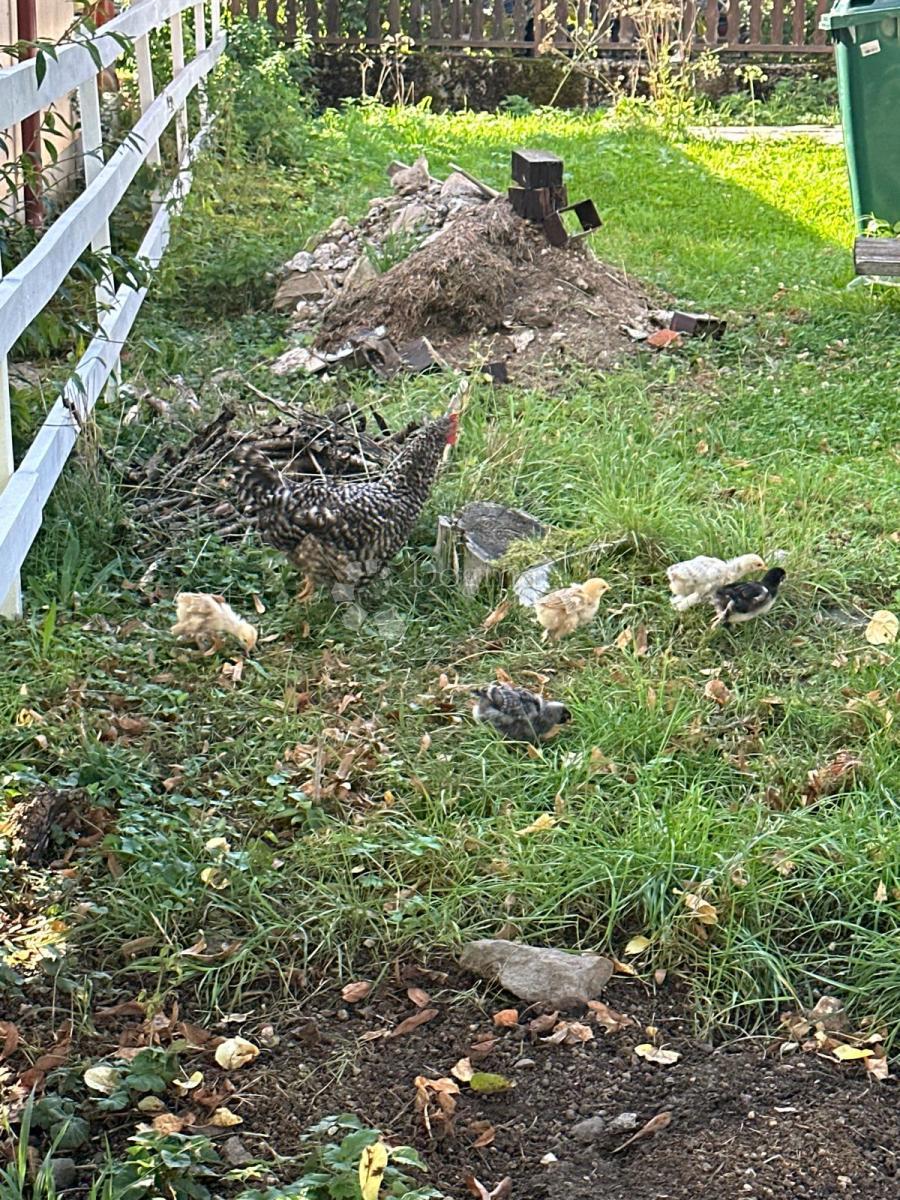 Hiša Brušane, Gospić - Okolica, 90m2