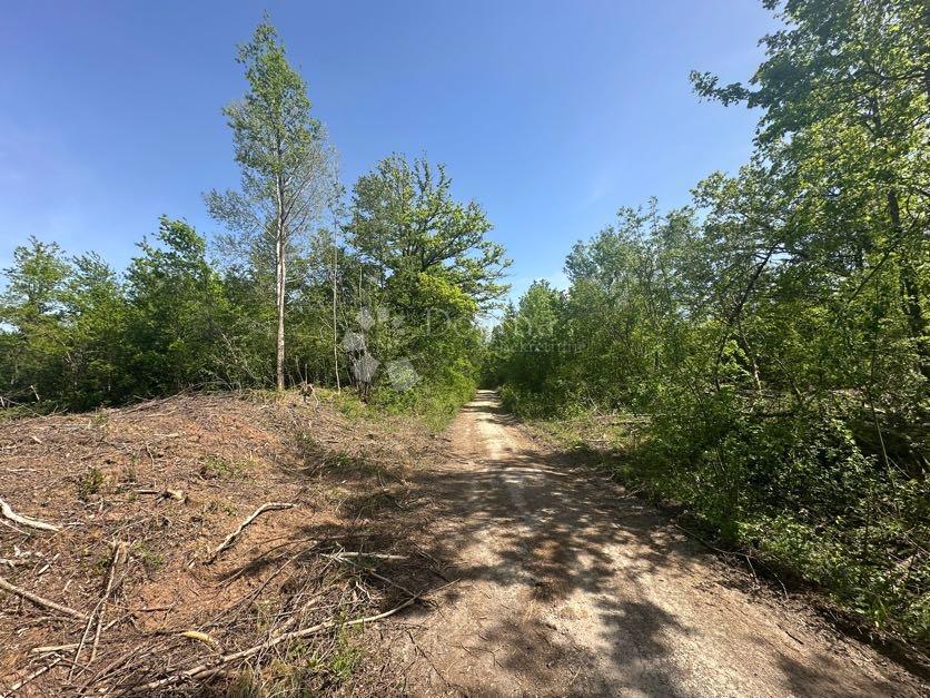 Kmetijsko zemljišče Divoselo, Gospić - Okolica, 15.422m2