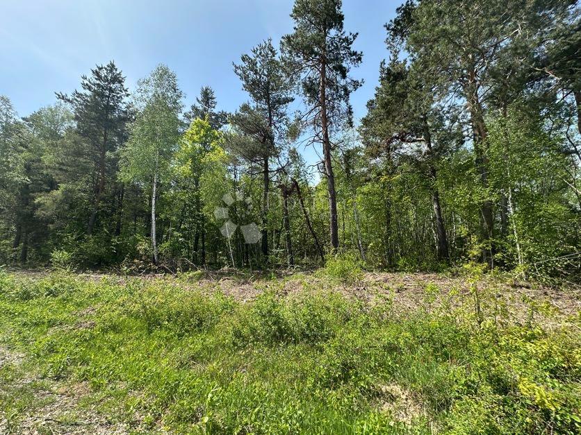 Kmetijsko zemljišče Divoselo, Gospić - Okolica, 15.422m2