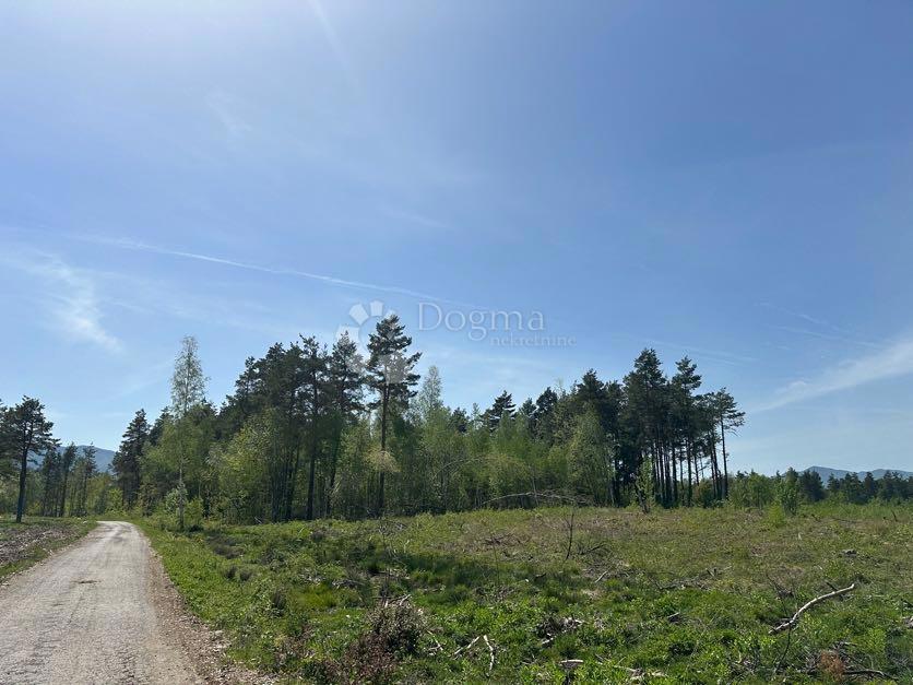 Kmetijsko zemljišče Divoselo, Gospić - Okolica, 15.422m2