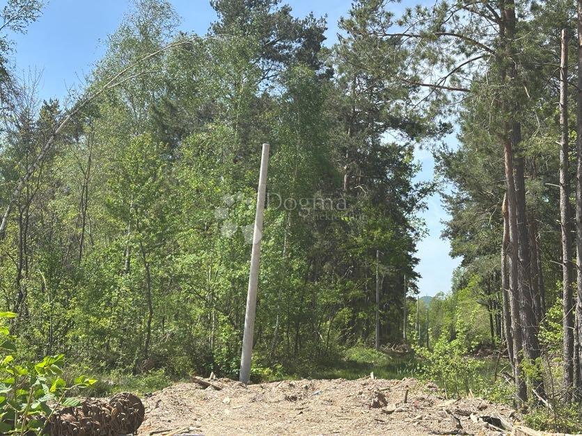 Kmetijsko zemljišče Divoselo, Gospić - Okolica, 15.422m2