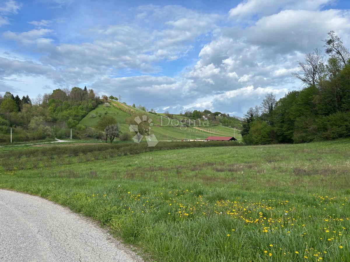 Kmetijsko zemljišče Grana, Novi Marof, 370.598m2