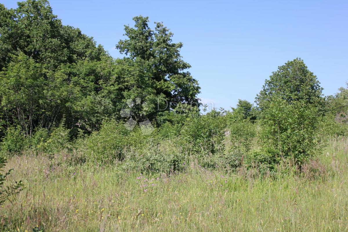 Zemljišče Cukrići, Svetvinčenat, 1.600m2