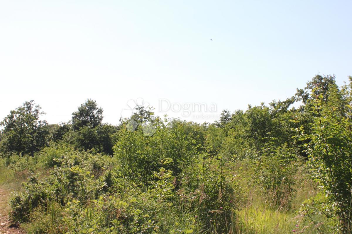 Zemljišče Cukrići, Svetvinčenat, 1.600m2