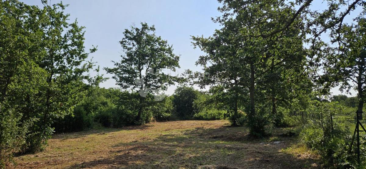 Zemljišče Cukrići, Svetvinčenat, 1.600m2