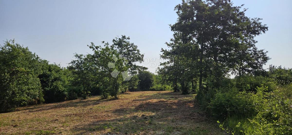 Zemljišče Cukrići, Svetvinčenat, 1.600m2
