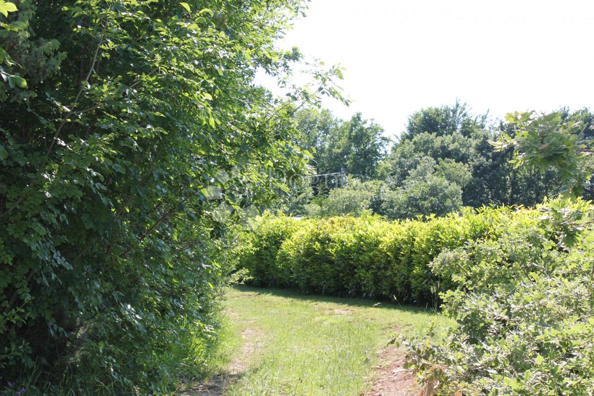 Zemljišče Cukrići, Svetvinčenat, 1.600m2