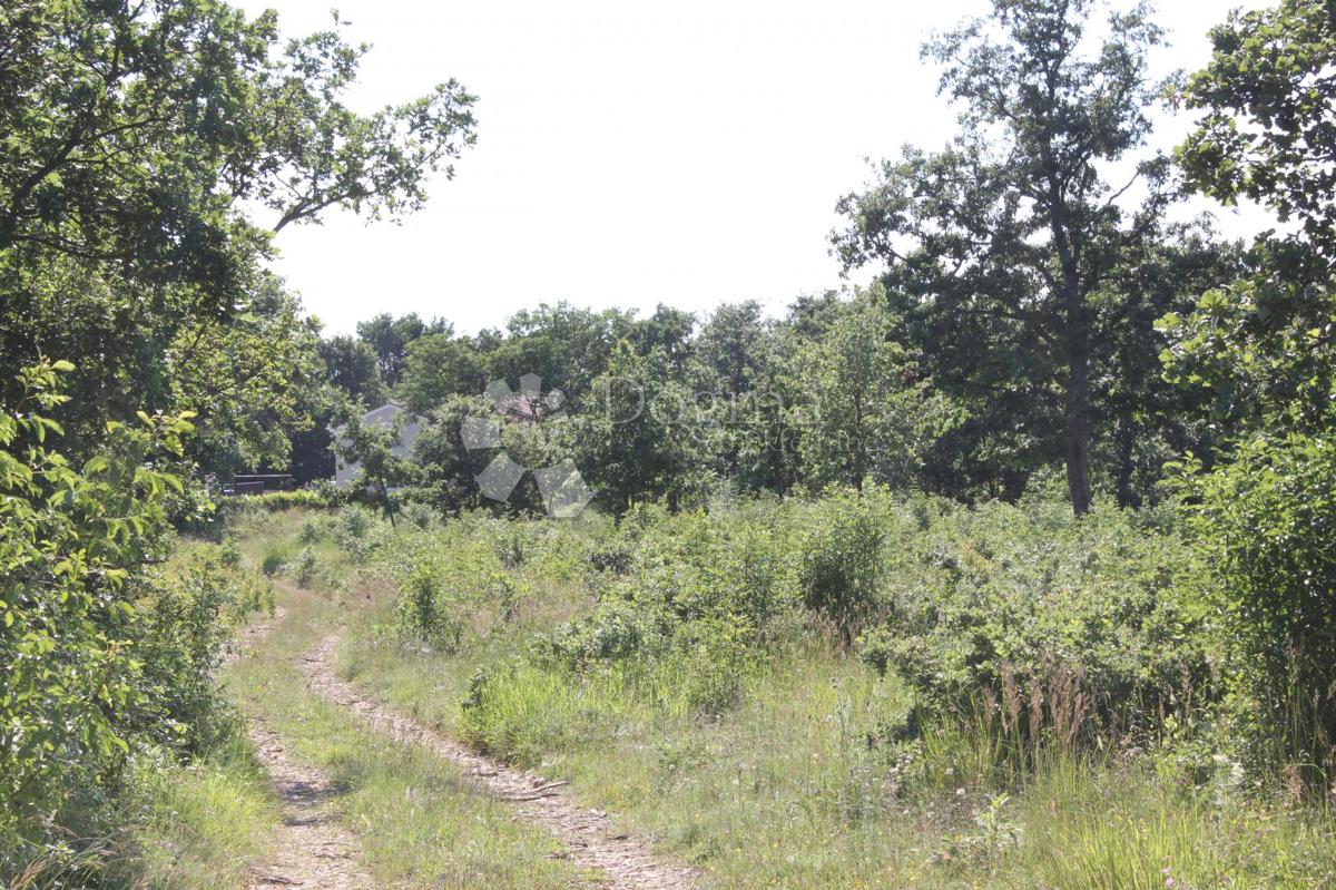 Zemljišče Cukrići, Svetvinčenat, 1.600m2