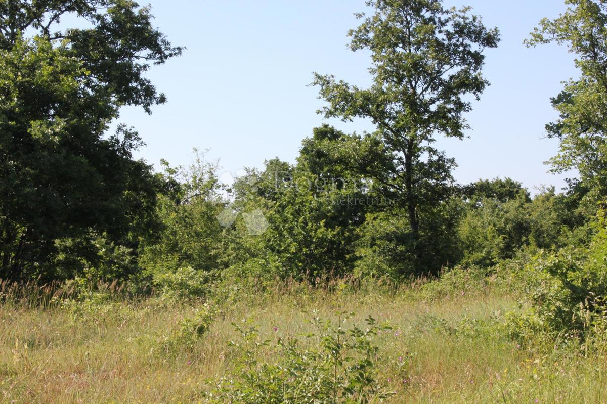 Zemljišče Cukrići, Svetvinčenat, 1.600m2