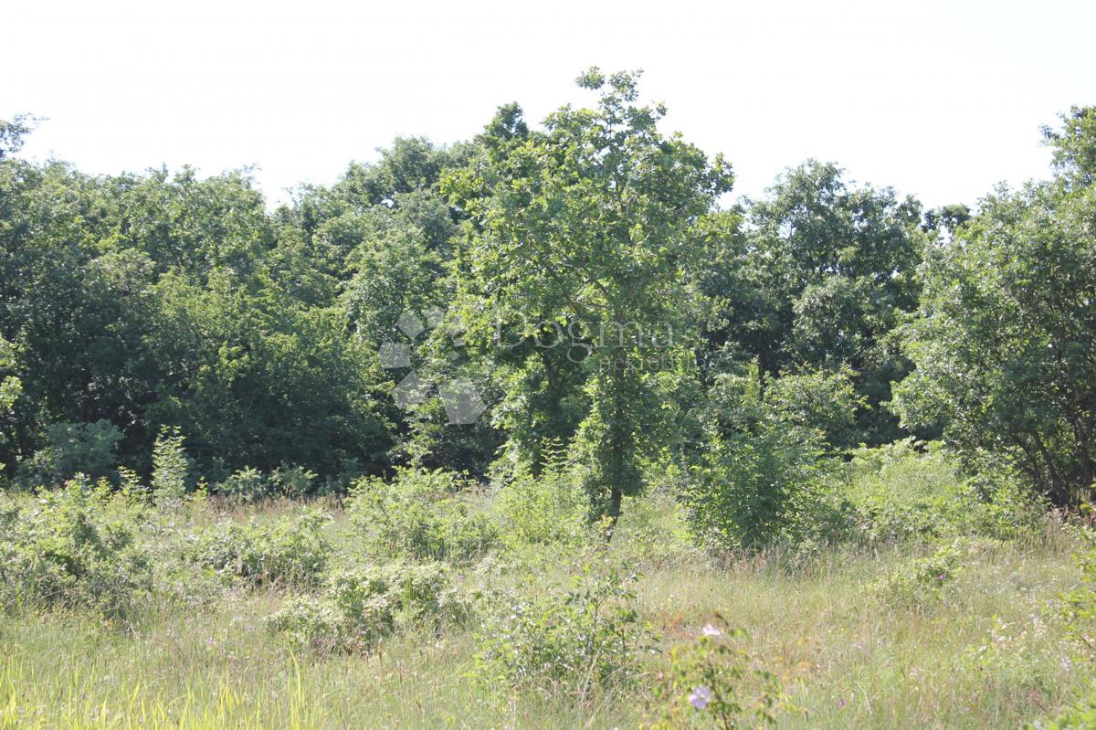 Zemljišče Cukrići, Svetvinčenat, 1.600m2
