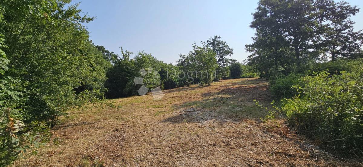 Zemljišče Cukrići, Svetvinčenat, 1.600m2