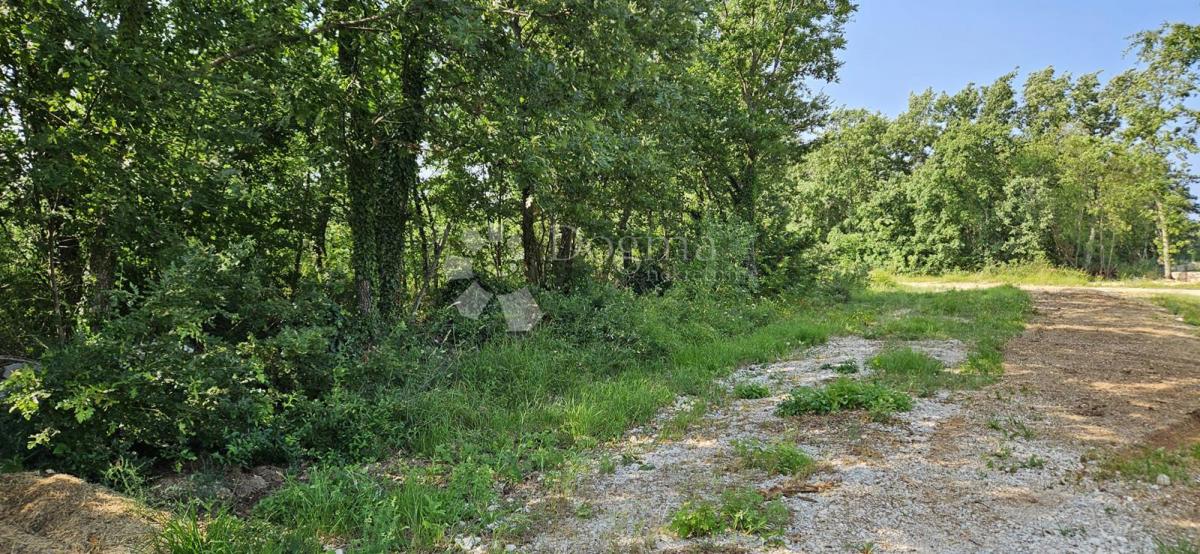 Zemljišče Cukrići, Svetvinčenat, 1.600m2