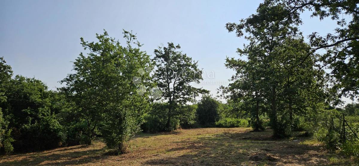Zemljišče Cukrići, Svetvinčenat, 1.600m2