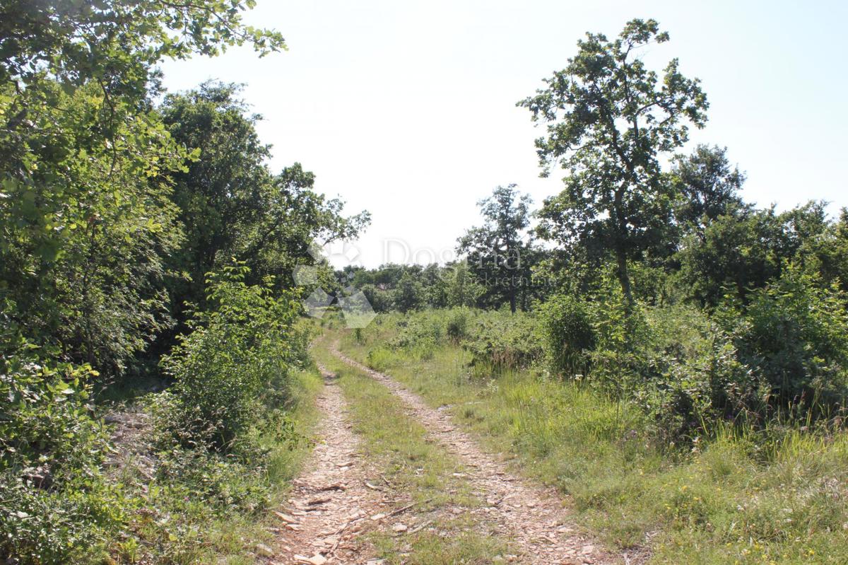 Zemljišče Cukrići, Svetvinčenat, 1.600m2