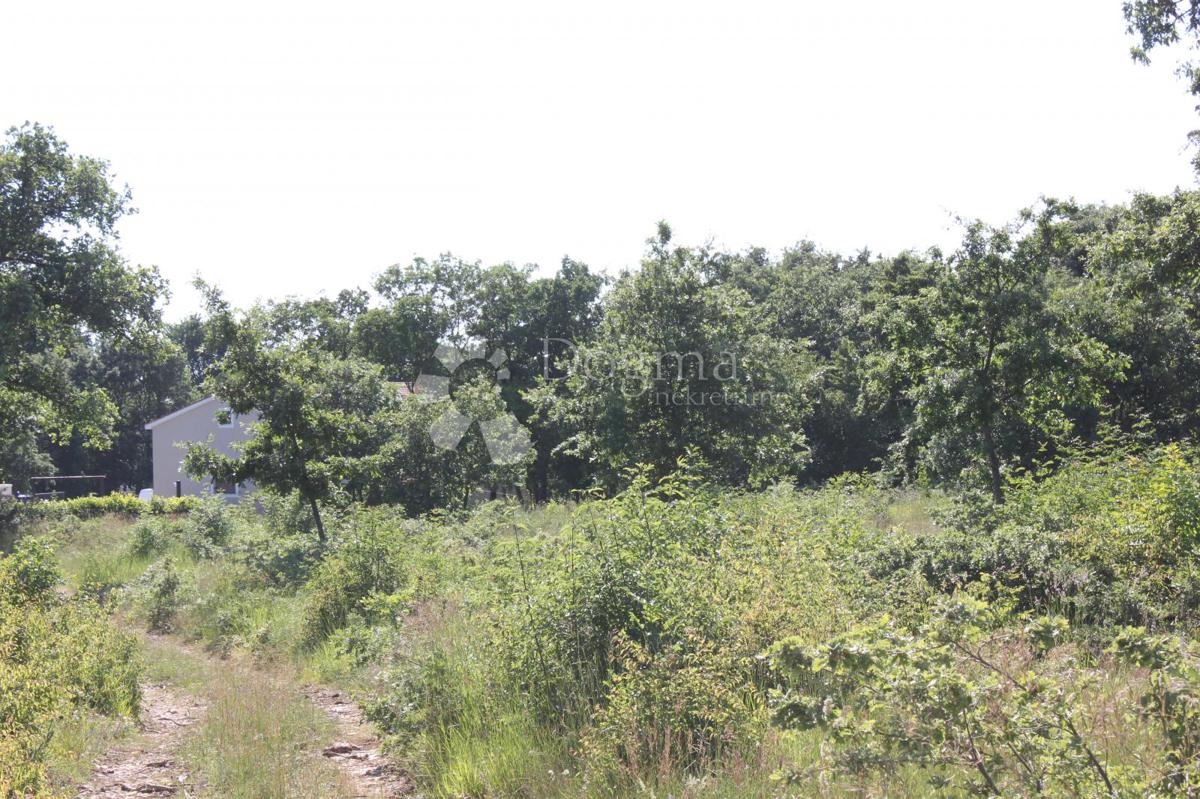 Zemljišče Cukrići, Svetvinčenat, 1.600m2
