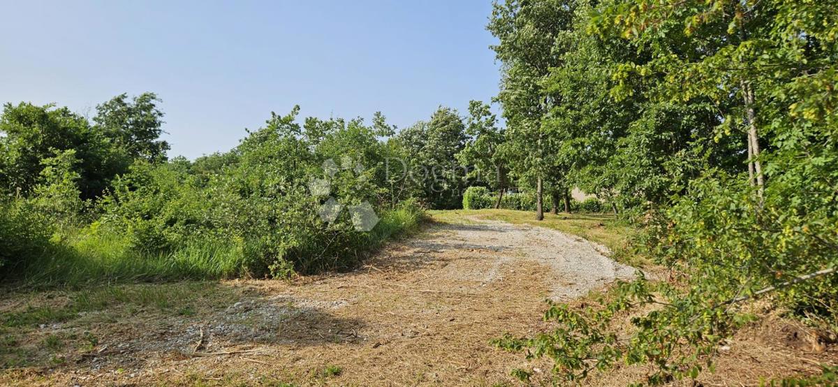 Zemljišče Cukrići, Svetvinčenat, 1.600m2