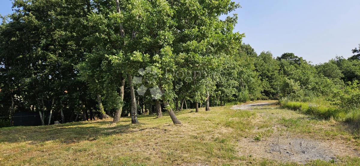 Zemljišče Cukrići, Svetvinčenat, 1.600m2