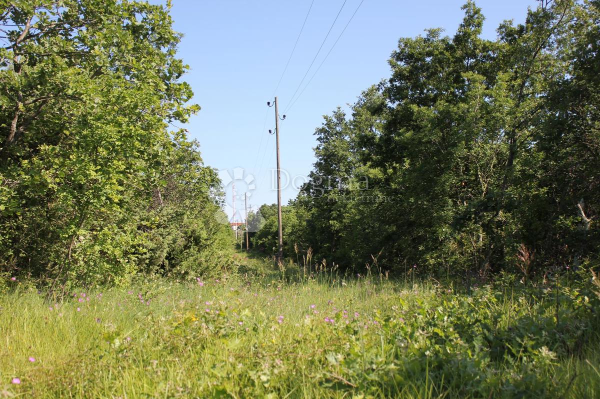 Zemljišče Cukrići, Svetvinčenat, 1.600m2