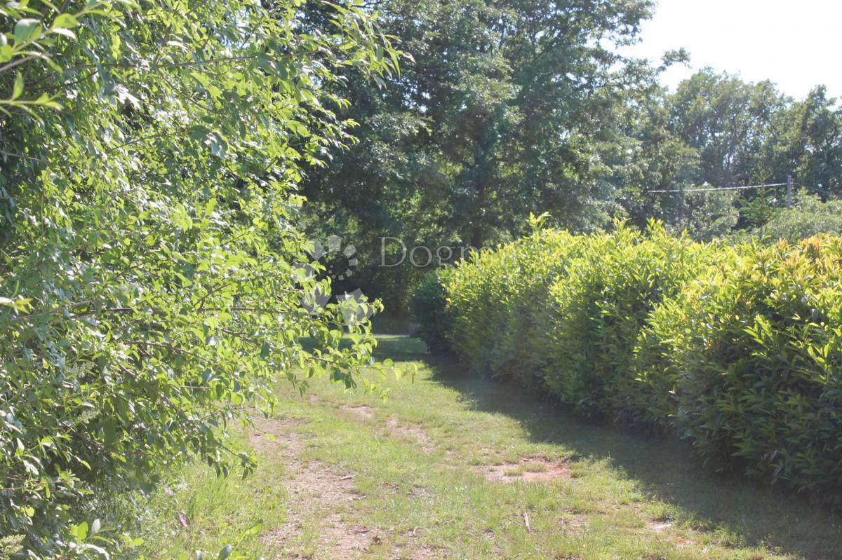 Zemljišče Cukrići, Svetvinčenat, 1.600m2