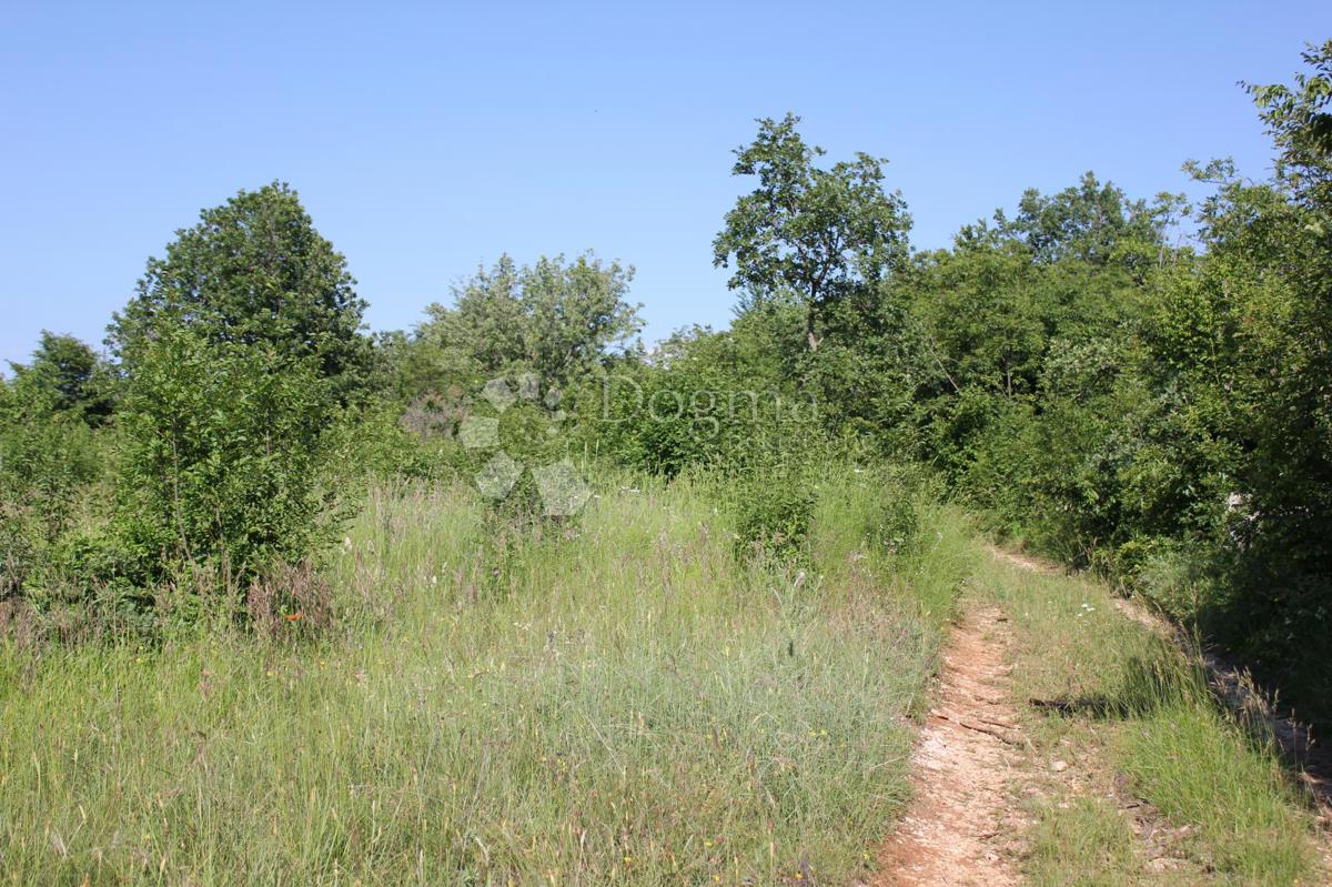 Zemljišče Cukrići, Svetvinčenat, 1.600m2