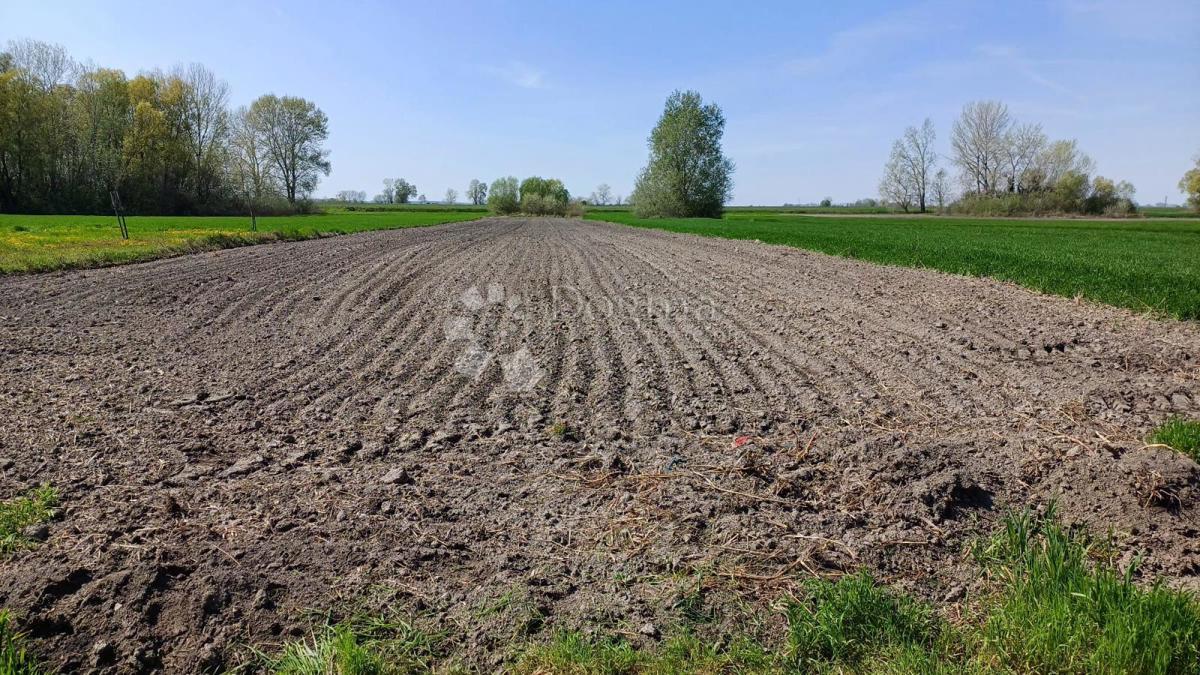 Hiša Darda, 60m2