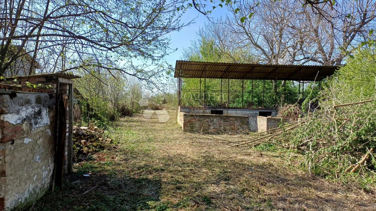 Hiša Darda, 60m2