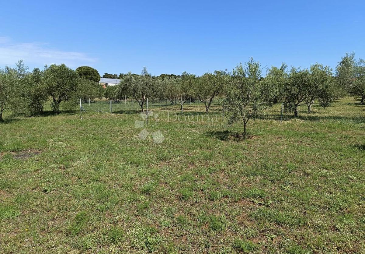 Zazidljivo zemljišče Biograd na Moru, 541m2