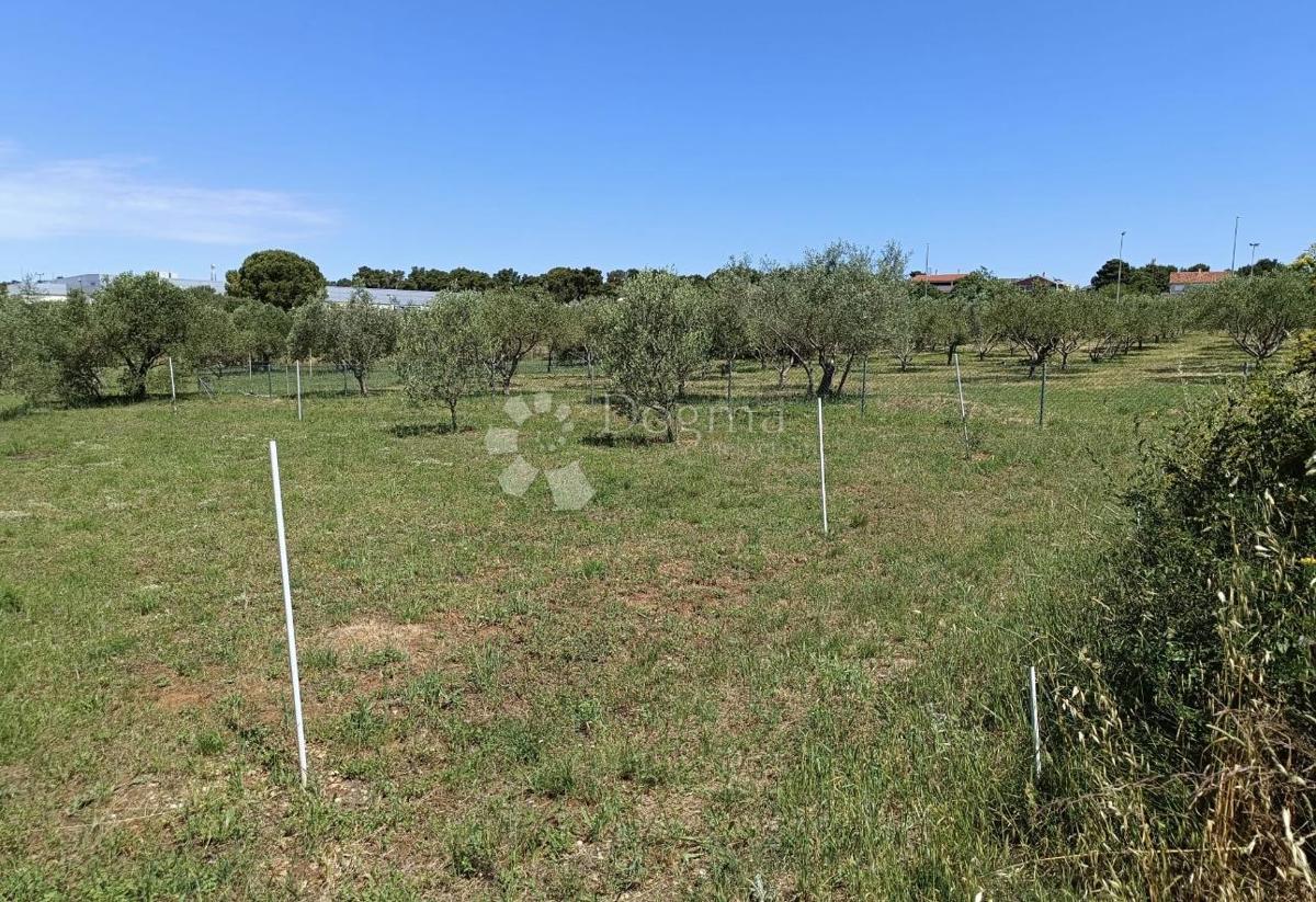 Zazidljivo zemljišče Biograd na Moru, 541m2