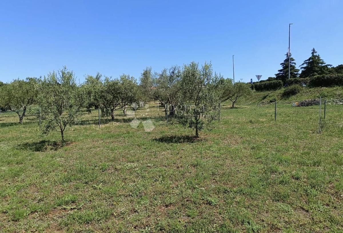 Zazidljivo zemljišče Biograd na Moru, 541m2