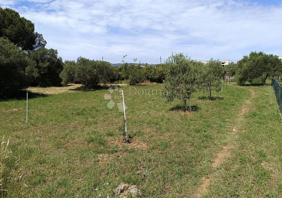 Zazidljivo zemljišče Biograd na Moru, 541m2