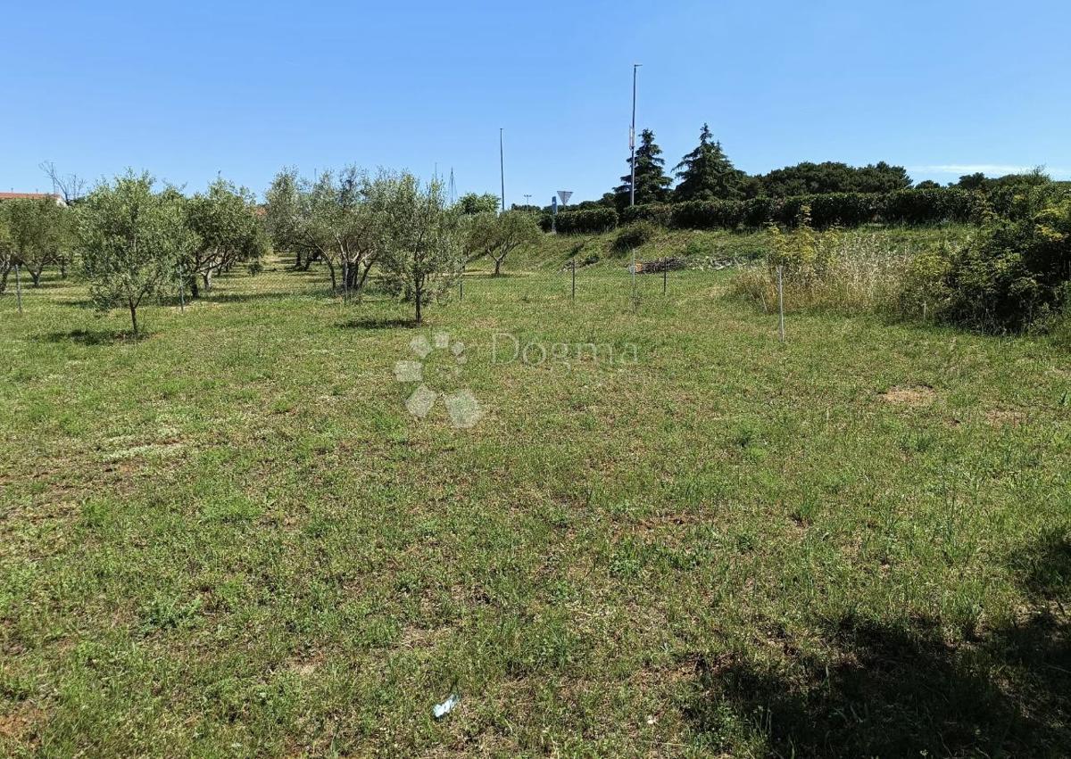 Zazidljivo zemljišče Biograd na Moru, 541m2