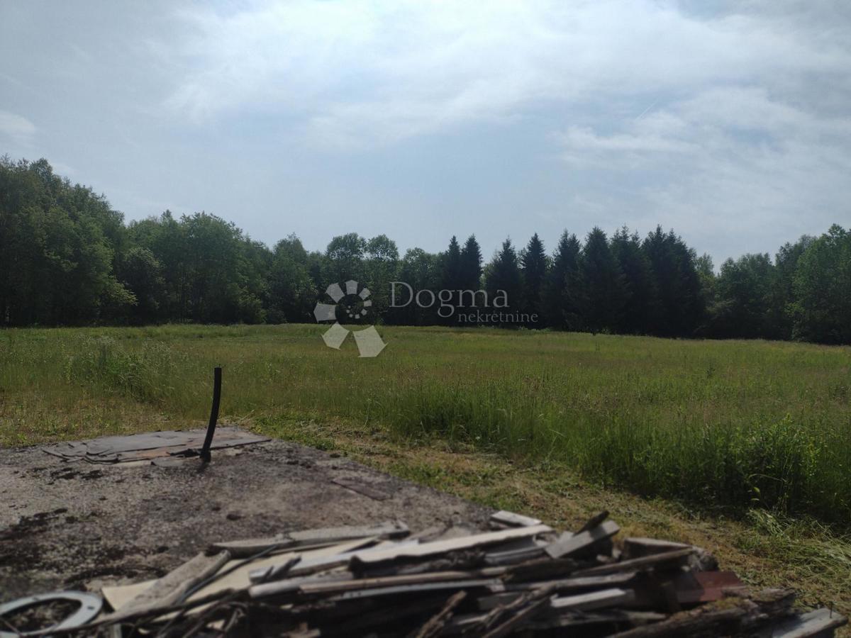Poslovni prostor Batinova Kosa, Topusko, 700m2