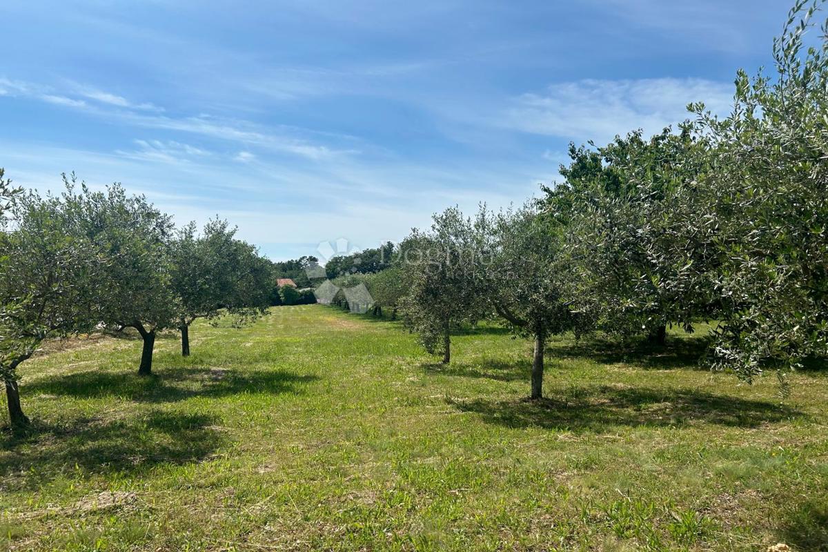 Zazidljivo zemljišče Sveti Lovreč, 980m2