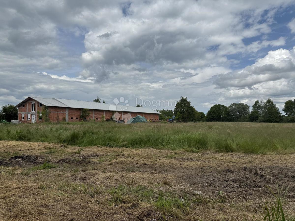 Velika gospodarska zgradba 600 m² na 12.000 m² ograjenega zemljišča