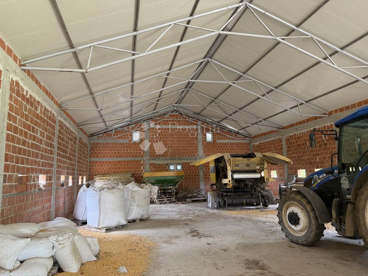 Velika gospodarska zgradba 600 m² na 12.000 m² ograjenega zemljišča